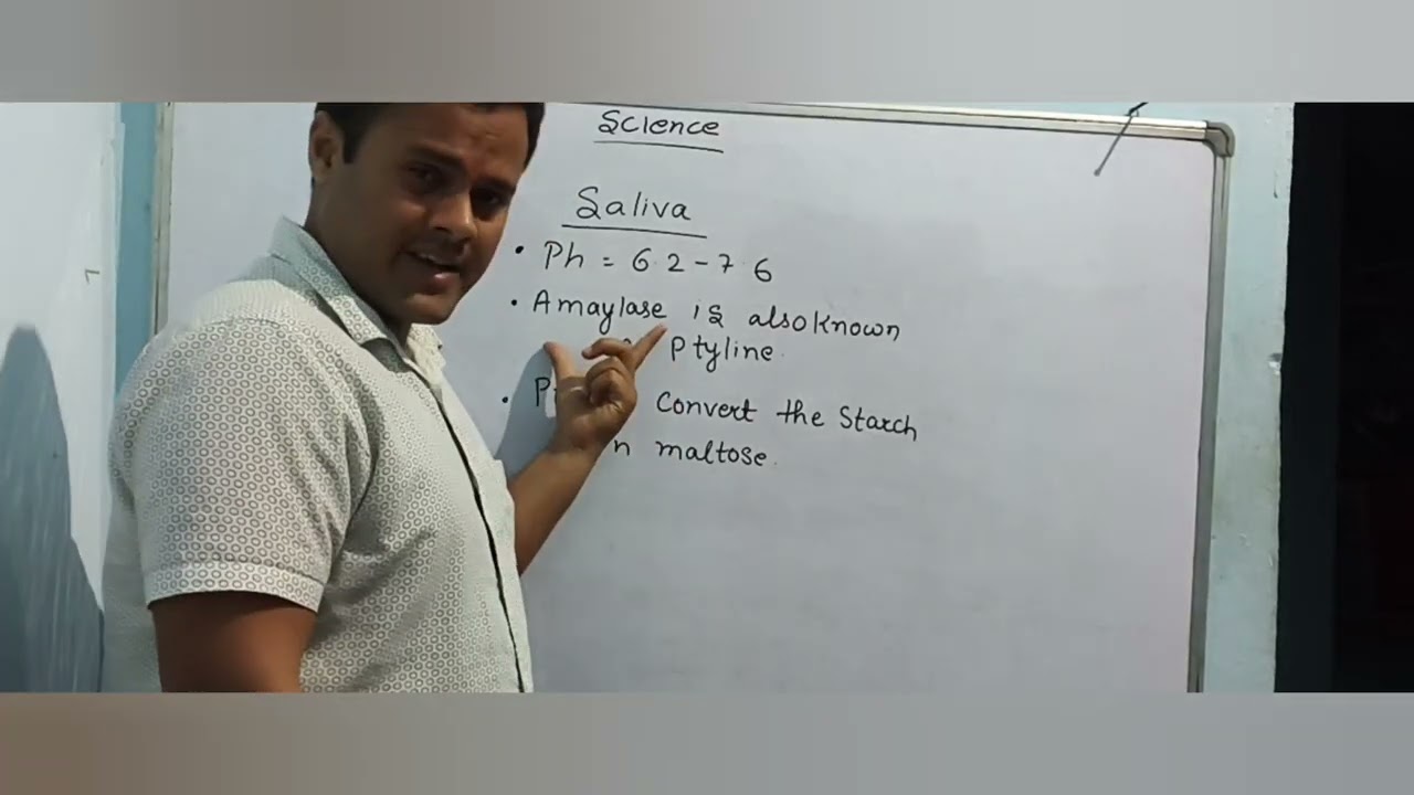 Digestive system part 3 || for all exam. Bihar daroga ssc railway up si. 