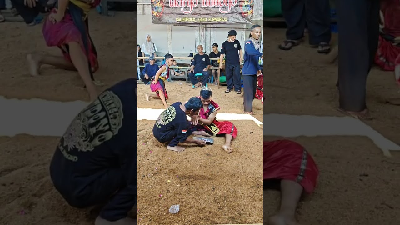 detik detik kesurupan ganas ❗jaranan wargo budoyo kalinongko