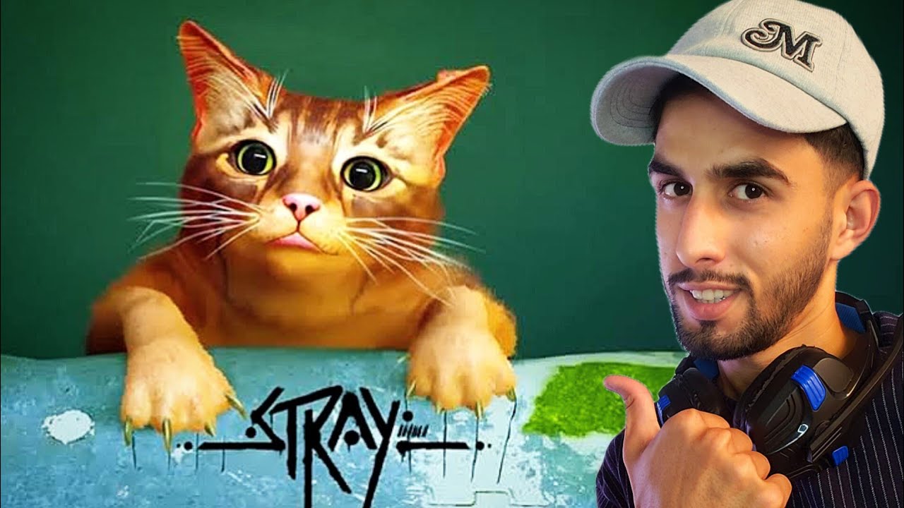 A CAT’S JOURNEY  | I BECAME A CAT…(Hindi) | STRAY GAMEPLAY PART 1