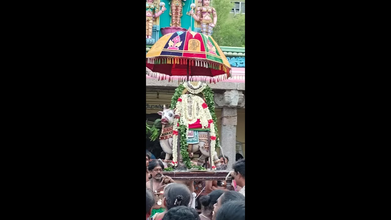 தை பிரதோஷம் ஸ்ரீ தீர்த்தீஸ்வரர் சுவாமி திருவள்ளூர்