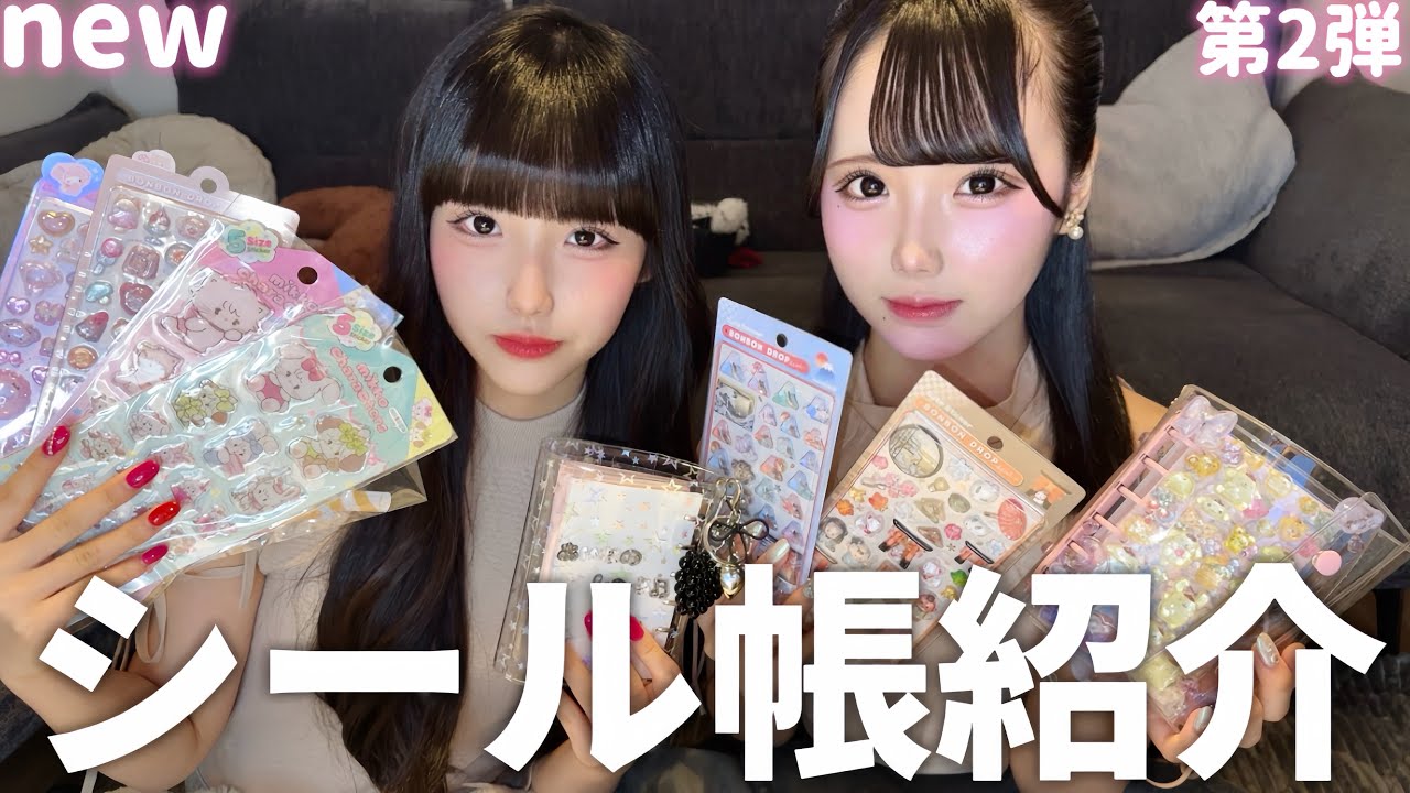 どハマり中のシール帳をアップデートして交換会もする双子🍒