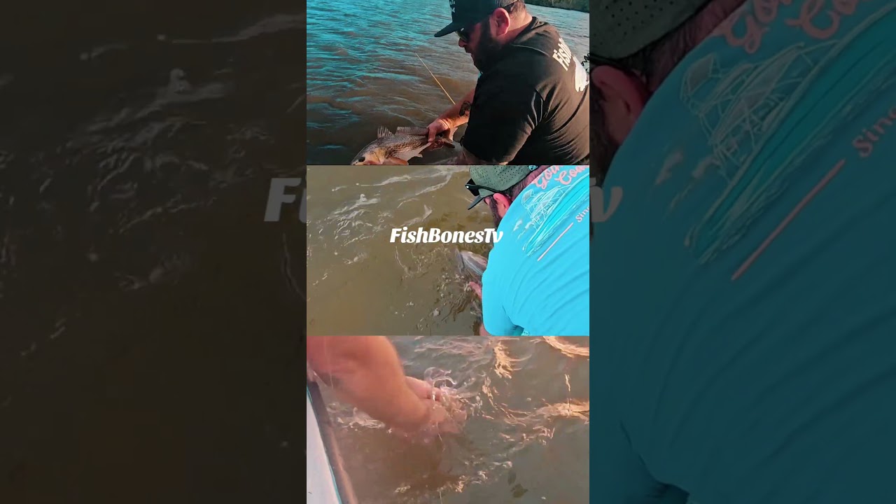 Fishing is an addiction 