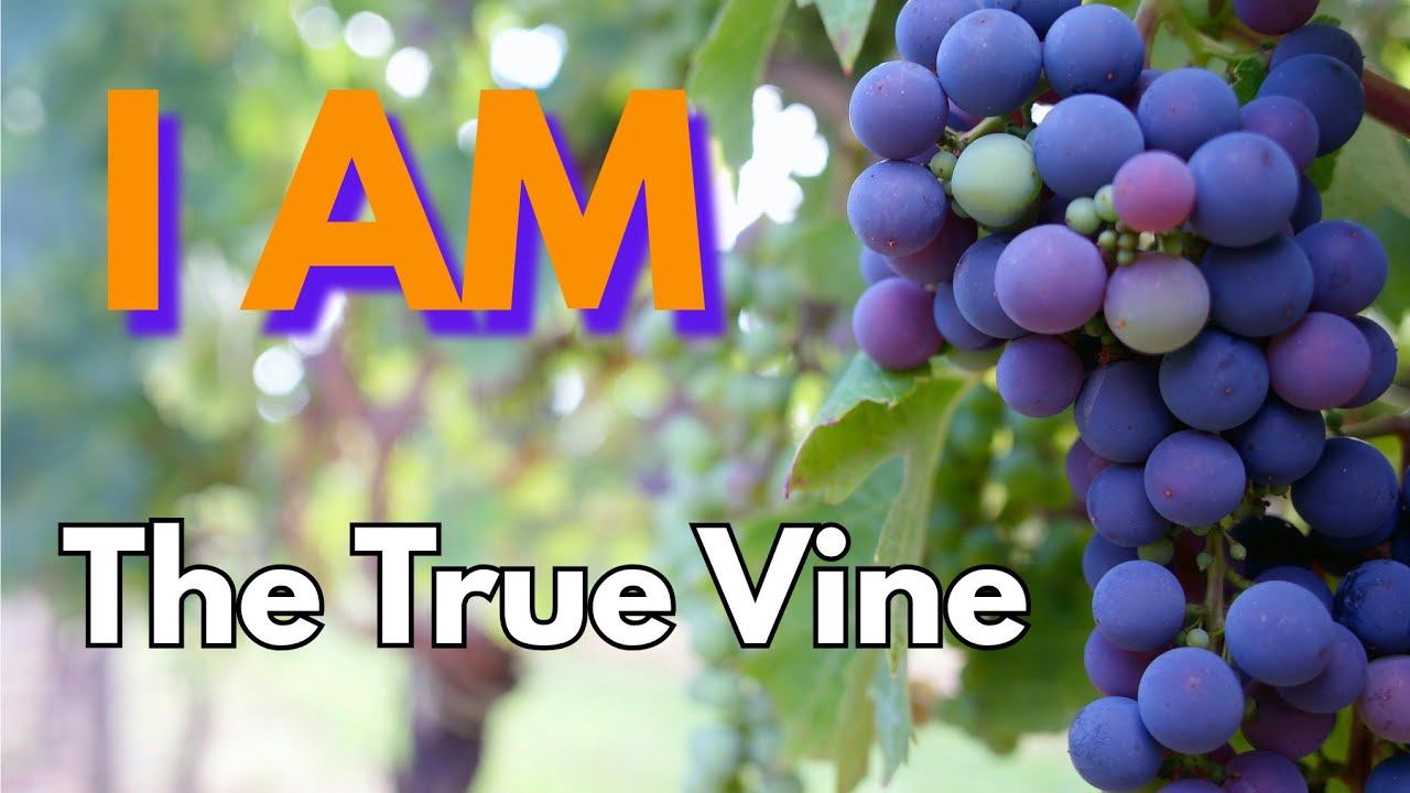This Is Key To Victorious And Productive Christian Living