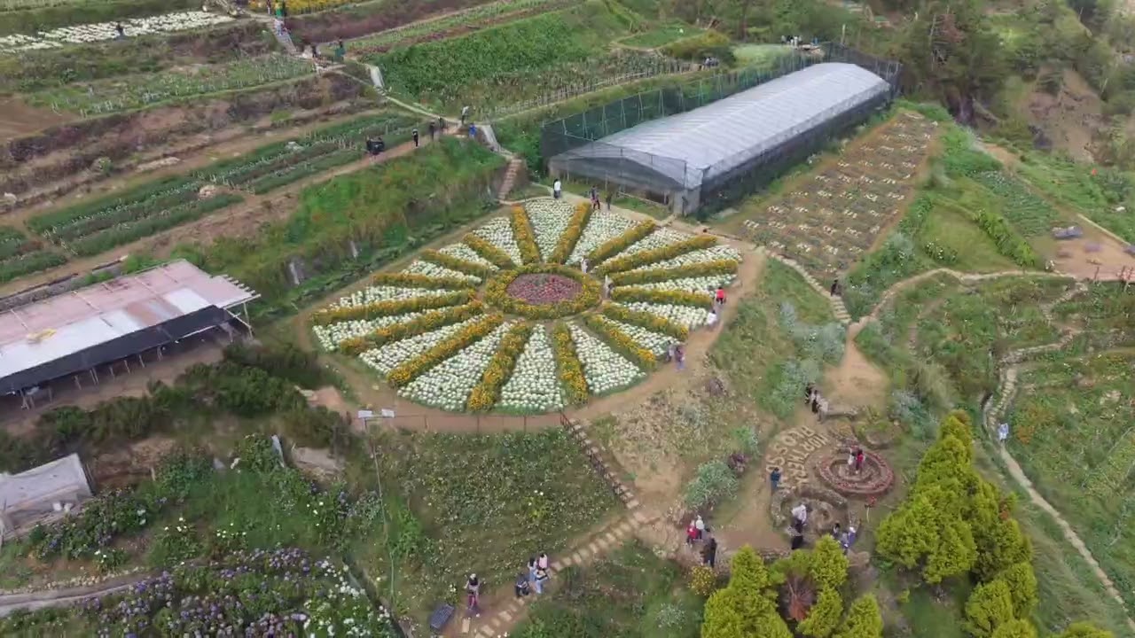 Northern Blossom Flower Farm