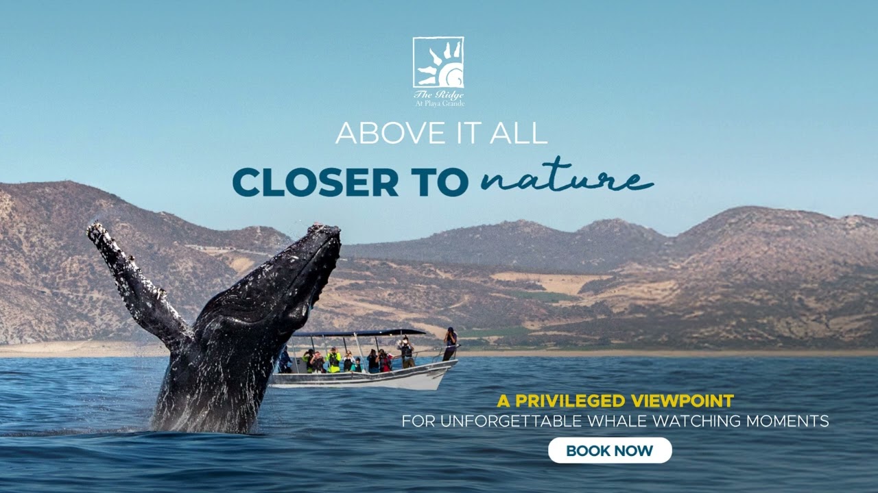 The Ridge At Playa Grande: Views & Whale Watching in Cabo