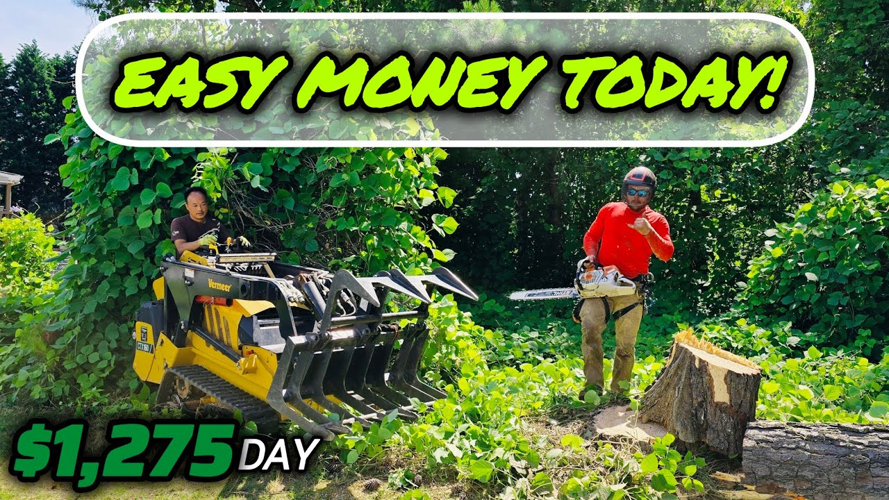 Removing 3 Tall Pine Trees The Easy Way! | Also Live Junk Removal Estimates! You Can't Make This Up