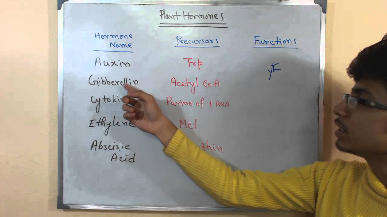 Plant growth hormones