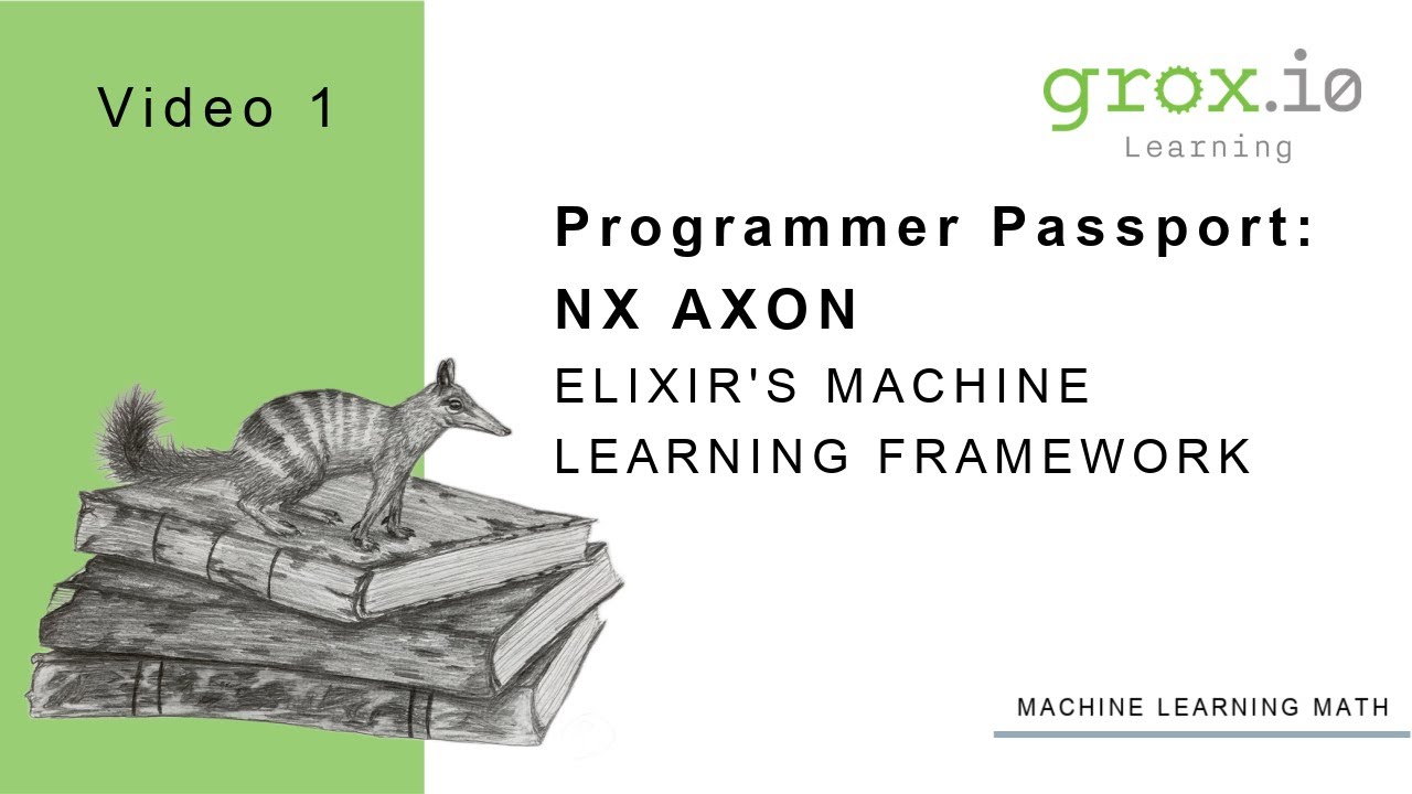 Programmer Passport: Nx Video 1 - Elixir Axon: A FizzBuzz Demo