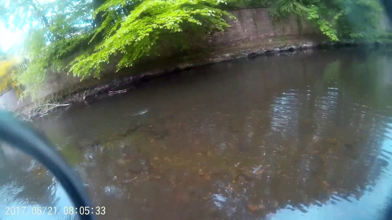 River esk fishing 2017