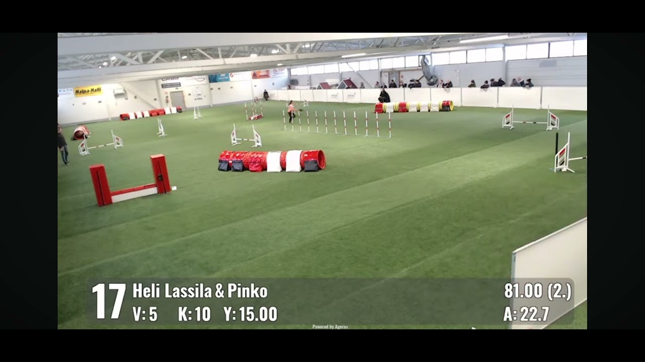 Pinko 16.1.26