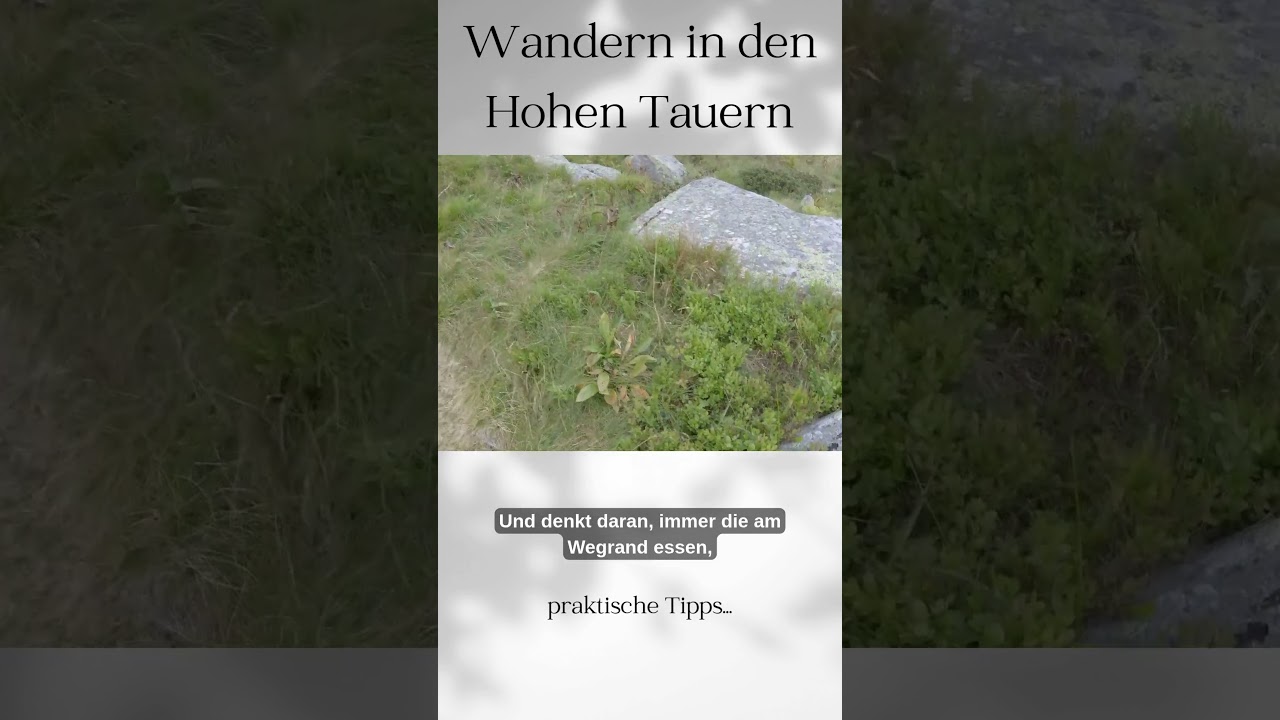 Wandern in den Hohen Tauern: tolle Tipps von mir 