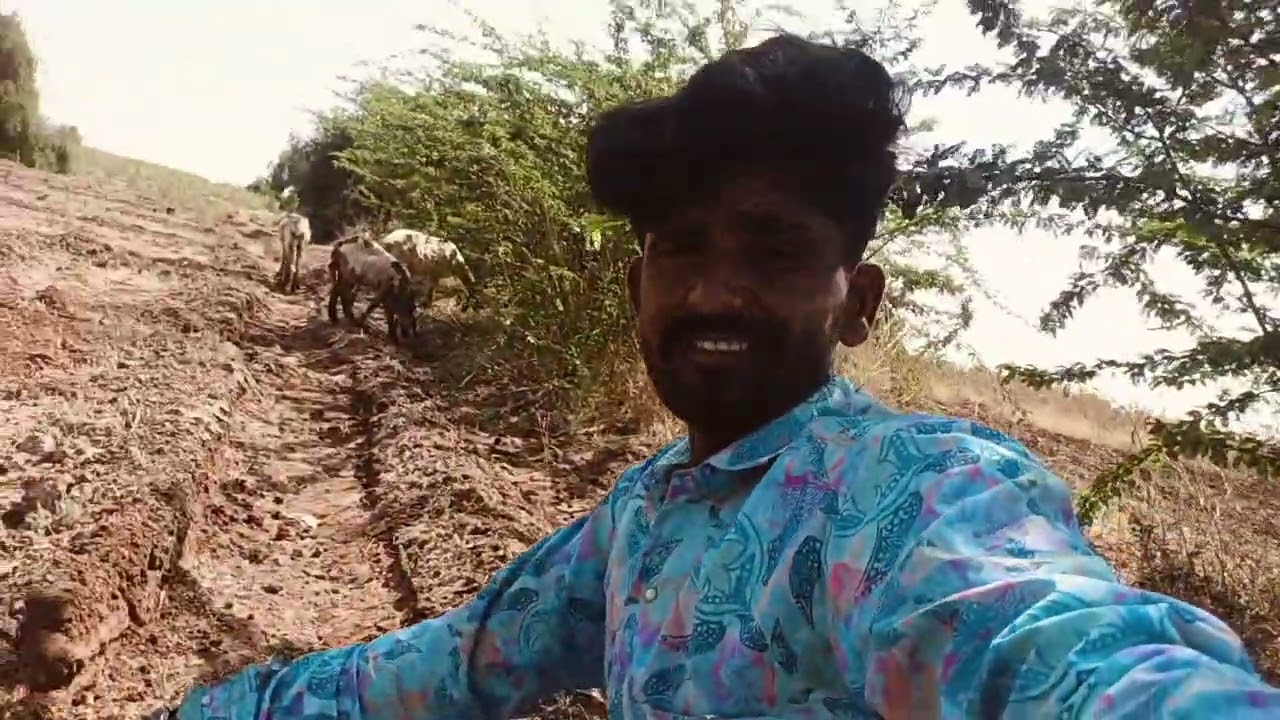 તમને મિત્રો અમારો વિડિયો ગમે તો લાઈક અને સબસ્ક્રાઇબ કરવાનું ભૂલતા નહીં અમે જરાને વાલે બેડ બકરીયા 