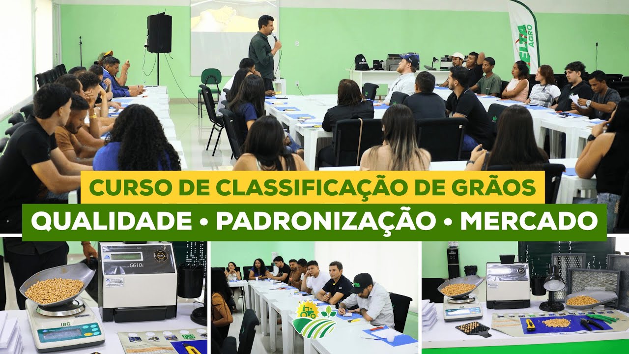 Curso Classificado de Grãos: Qualidade • Padronização • Mercado