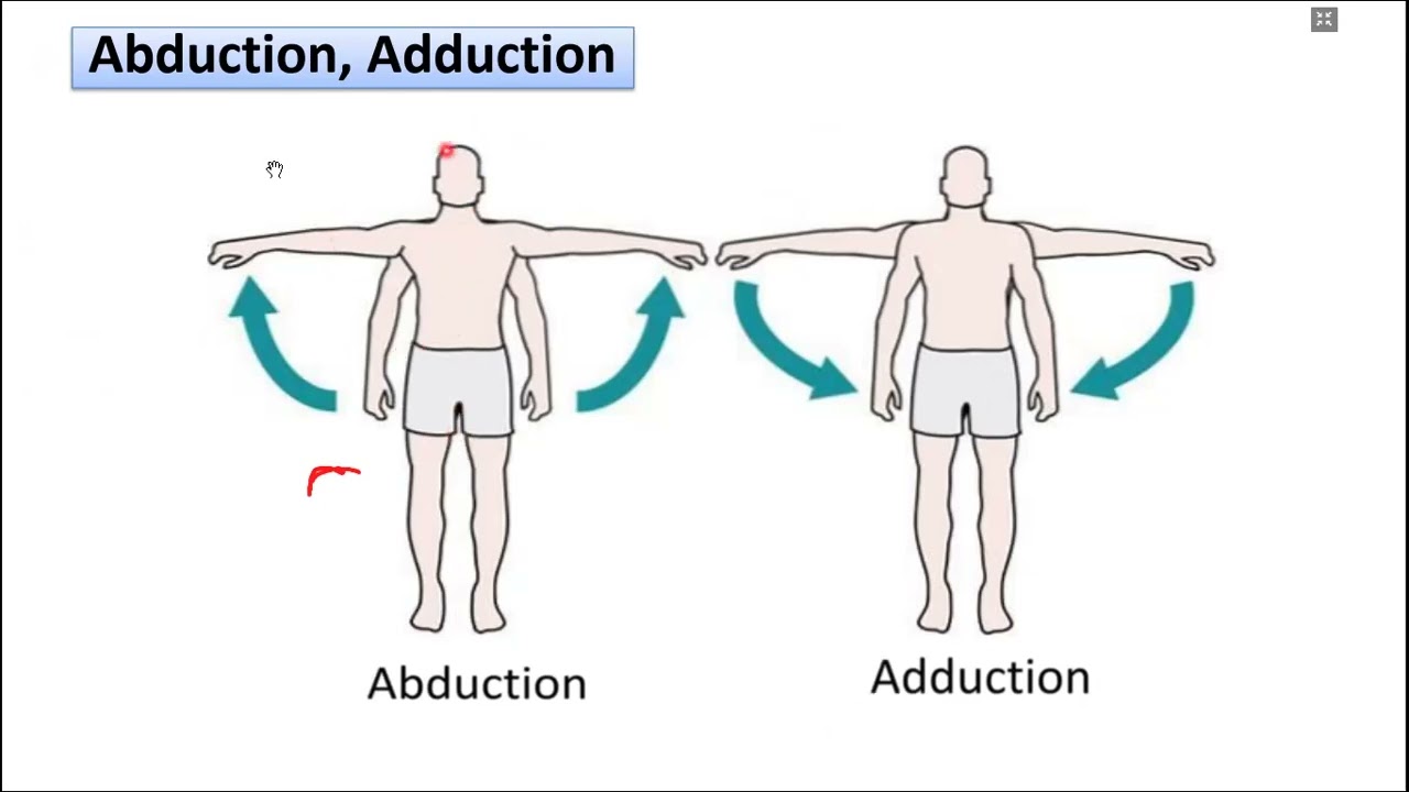 Section 1 