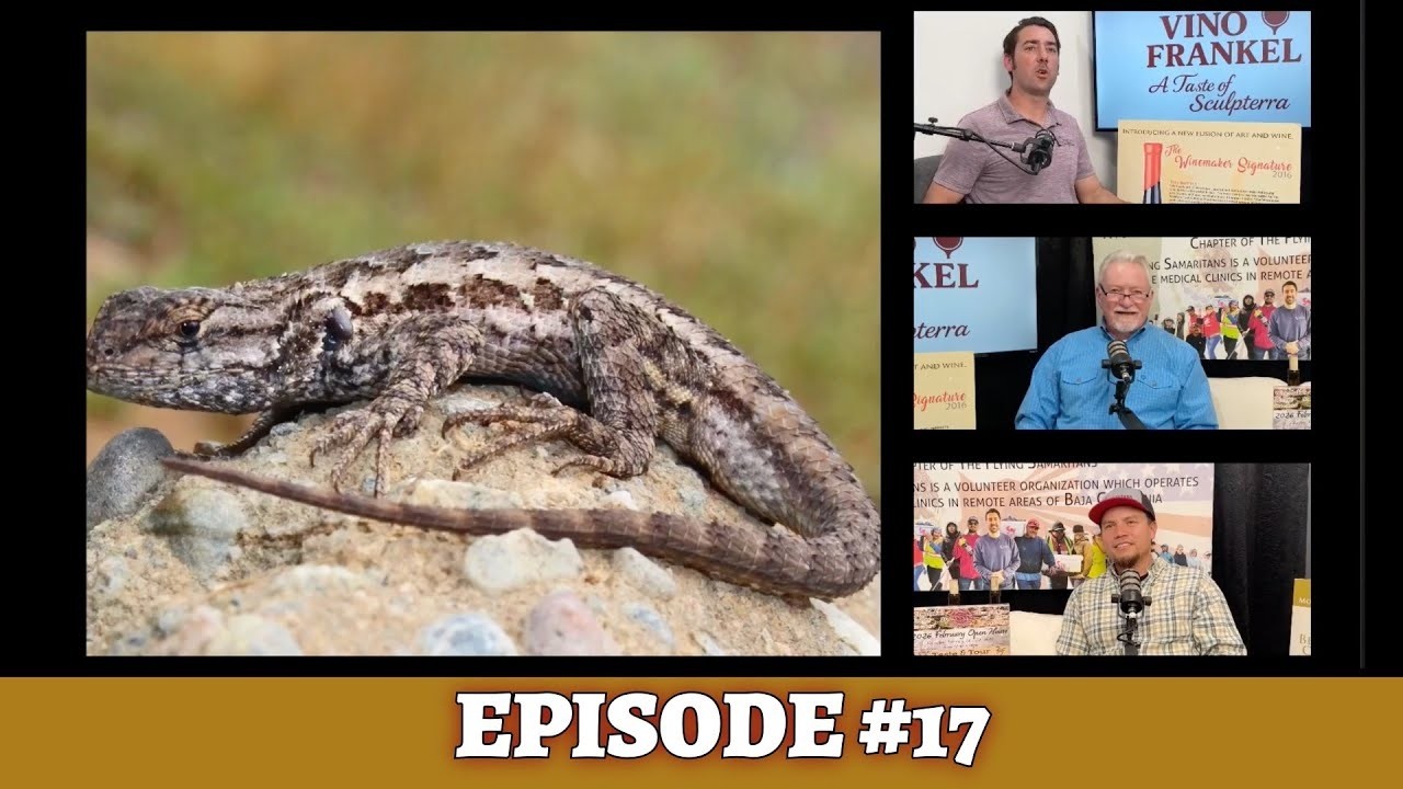 Wine, Faith & Primitivo Reserves with Pastor Gus Bess & Brian Kusko - Taste of Frankel Ep.17
