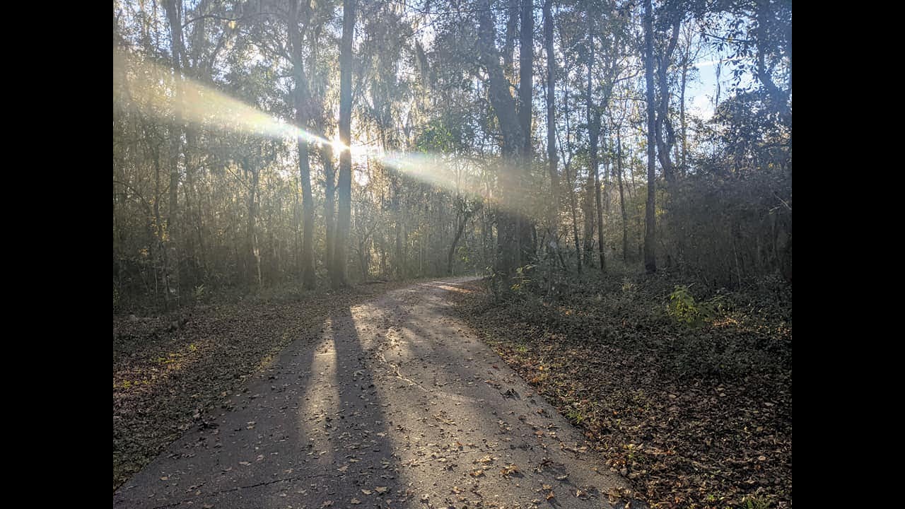 Gainesville, FL Hawthorne Trail: Running 31 miles.