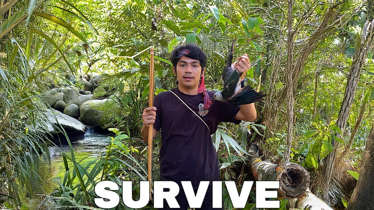 Bertahan hidup dalam hutan,tanpa makanan,tanpa air #kinsurvive