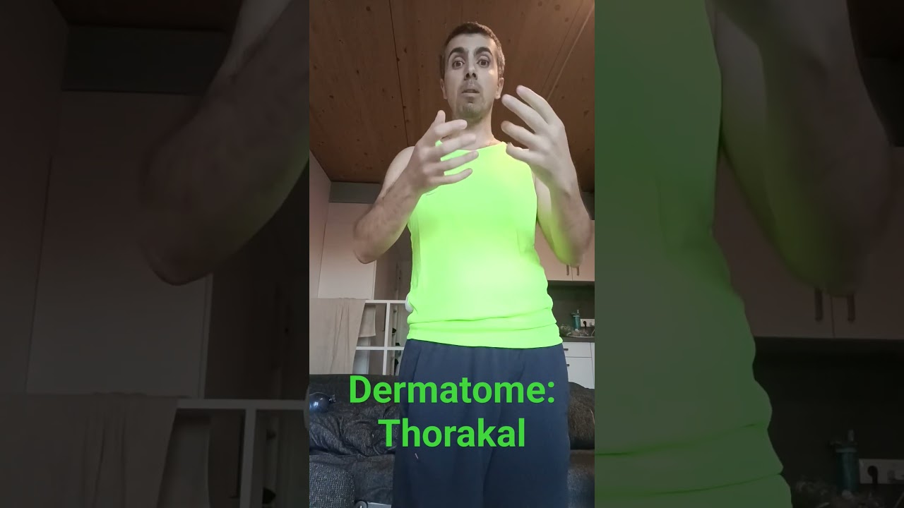 Dermatome - Thorakal 