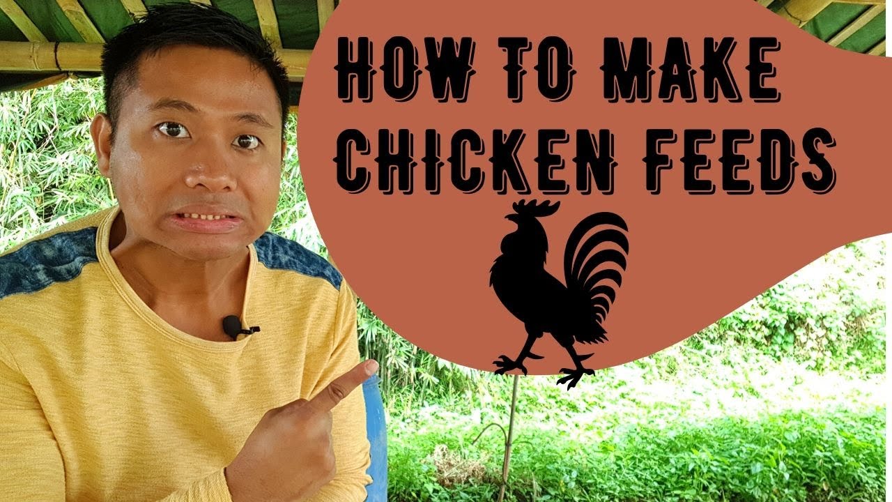 How to Make Chicken Feeds