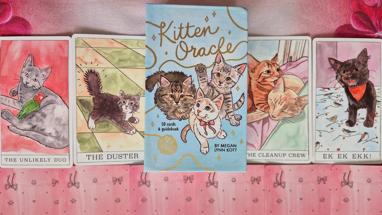 Оракул кошенят. Kitten oracle. Огляд колоди та розбір авторських значень карт.