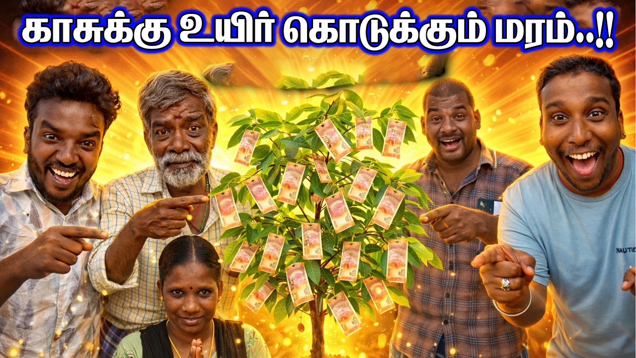 காசுக்கு உயிர் கொடுக்கும் மரம் || விலை ஒரு கன்று 50 | VENGAYAM COMEDY