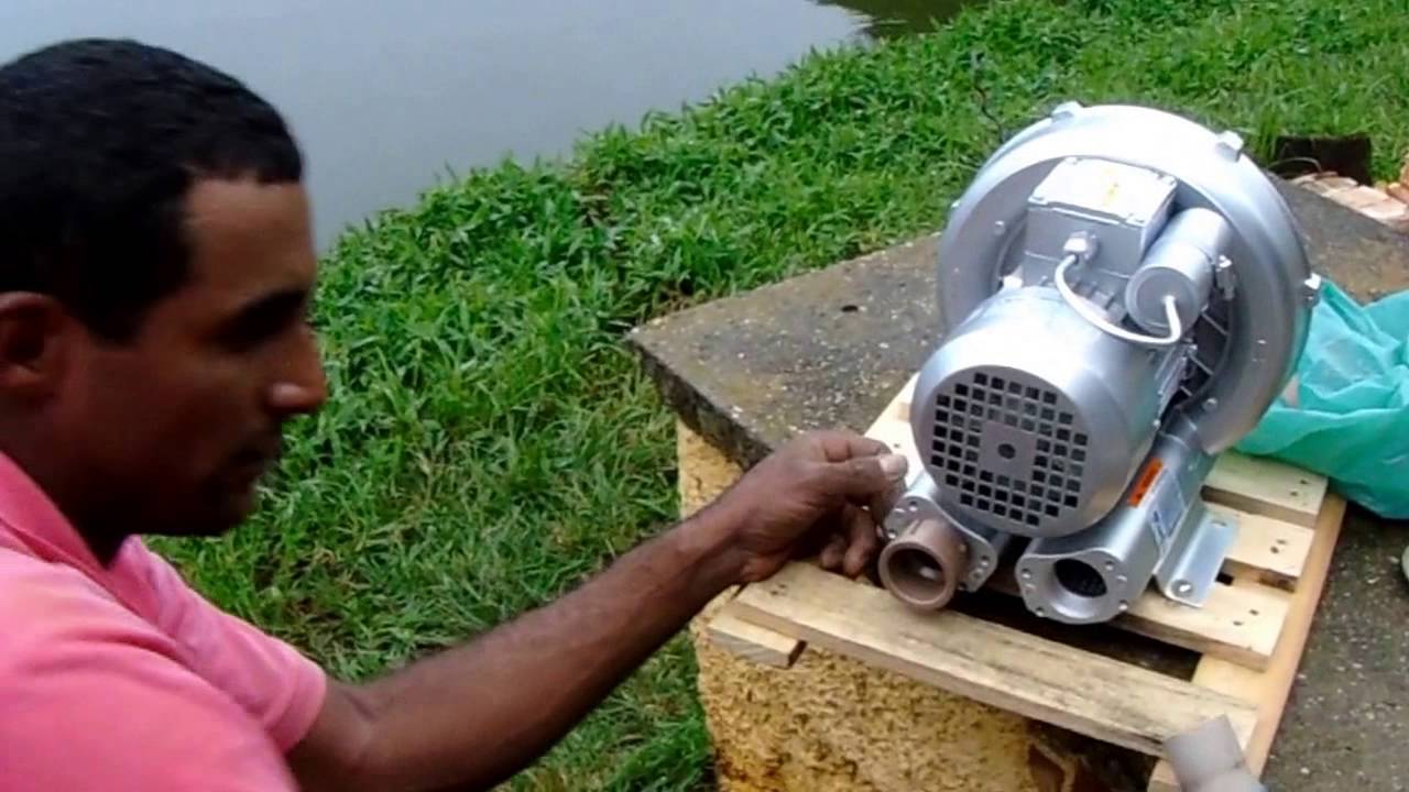 Como instalar compressor de ar ou soprador para piscicultura e aquicultura Brasil Piscis - Vídeo 19