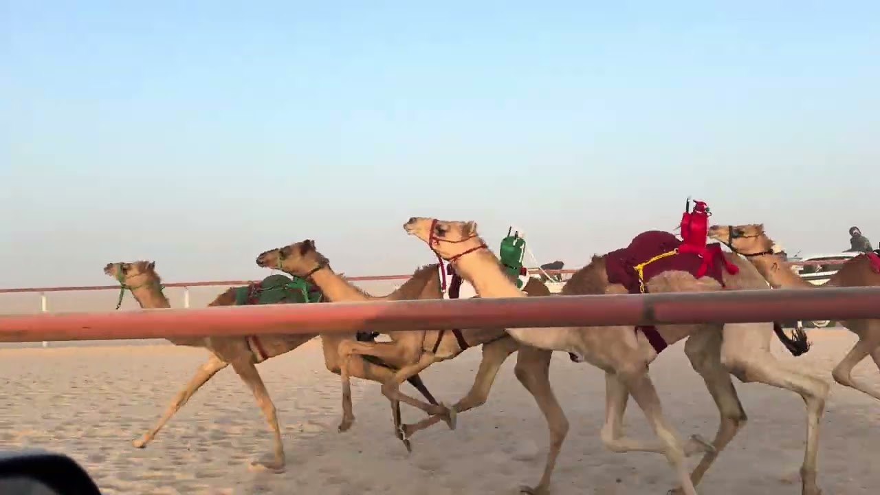 الشوط الأول