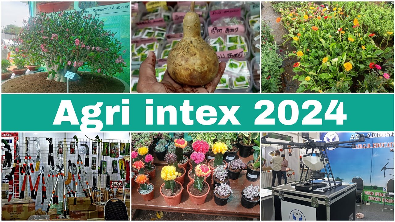 Agri intex 2024/ விவசாய கண்காட்சி/ நீங்கள் பார்த்திராத பல விஷயங்கள்
