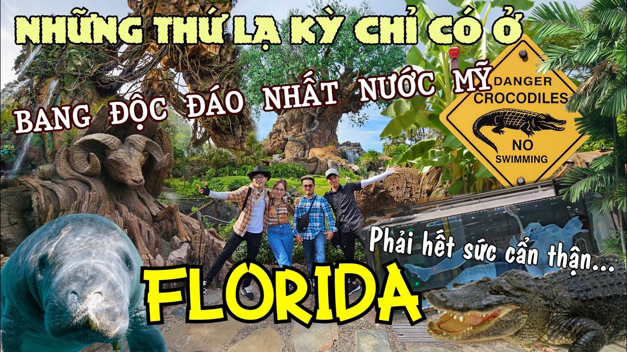 FLORIDA nơi người d&acirc;n sống chung C&Aacute; SẤU LỢN BIỂN v&agrave; chơi với NGƯỜI NA'VI