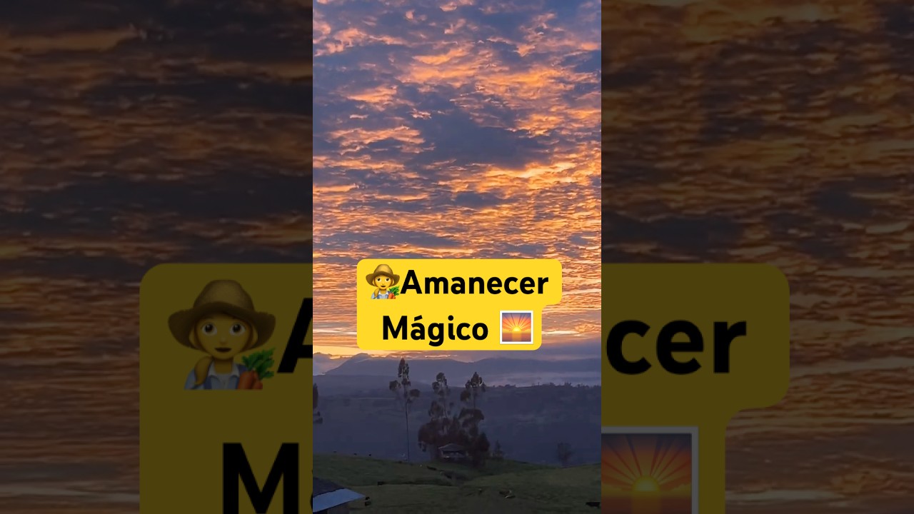 Un amanecer m&aacute;gico en el campo #costumbresandinas #campo
