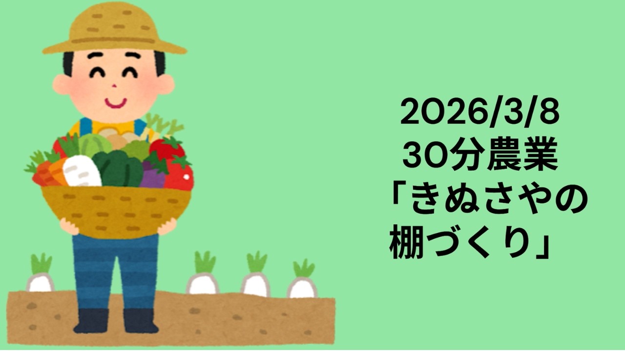 【30分農業】絹さやが爆伸び！打ち合わせナシの「突撃！棚作り」に弟子は対応できるのか！？【2026.3.8】