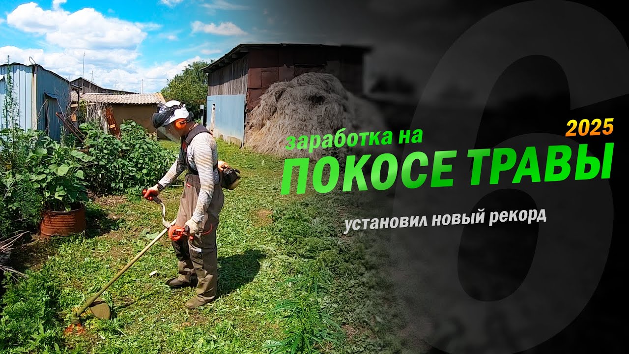Установил новый рекорд. Заработок в деревне на покосе травы триммером.