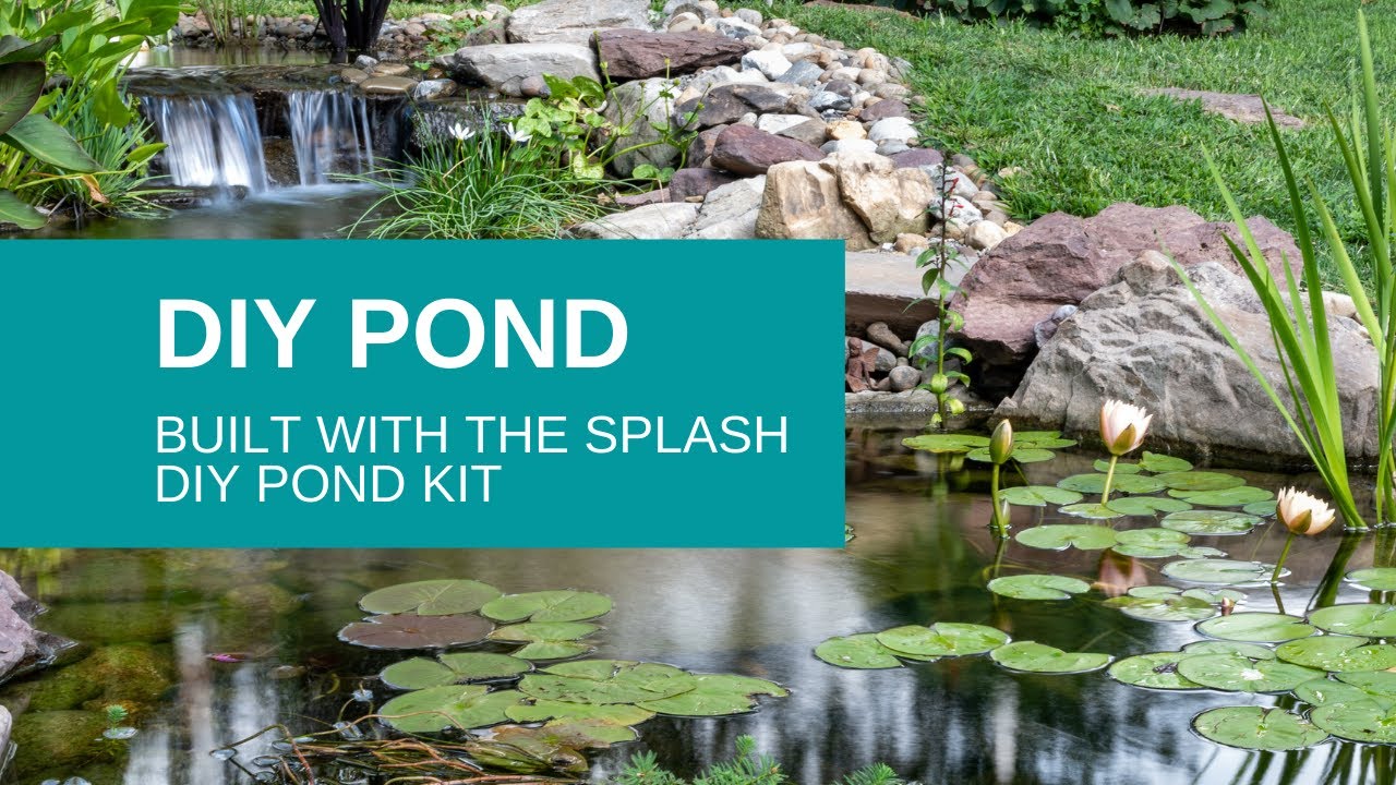 DIY Pond Built with the Splash Pond Kit