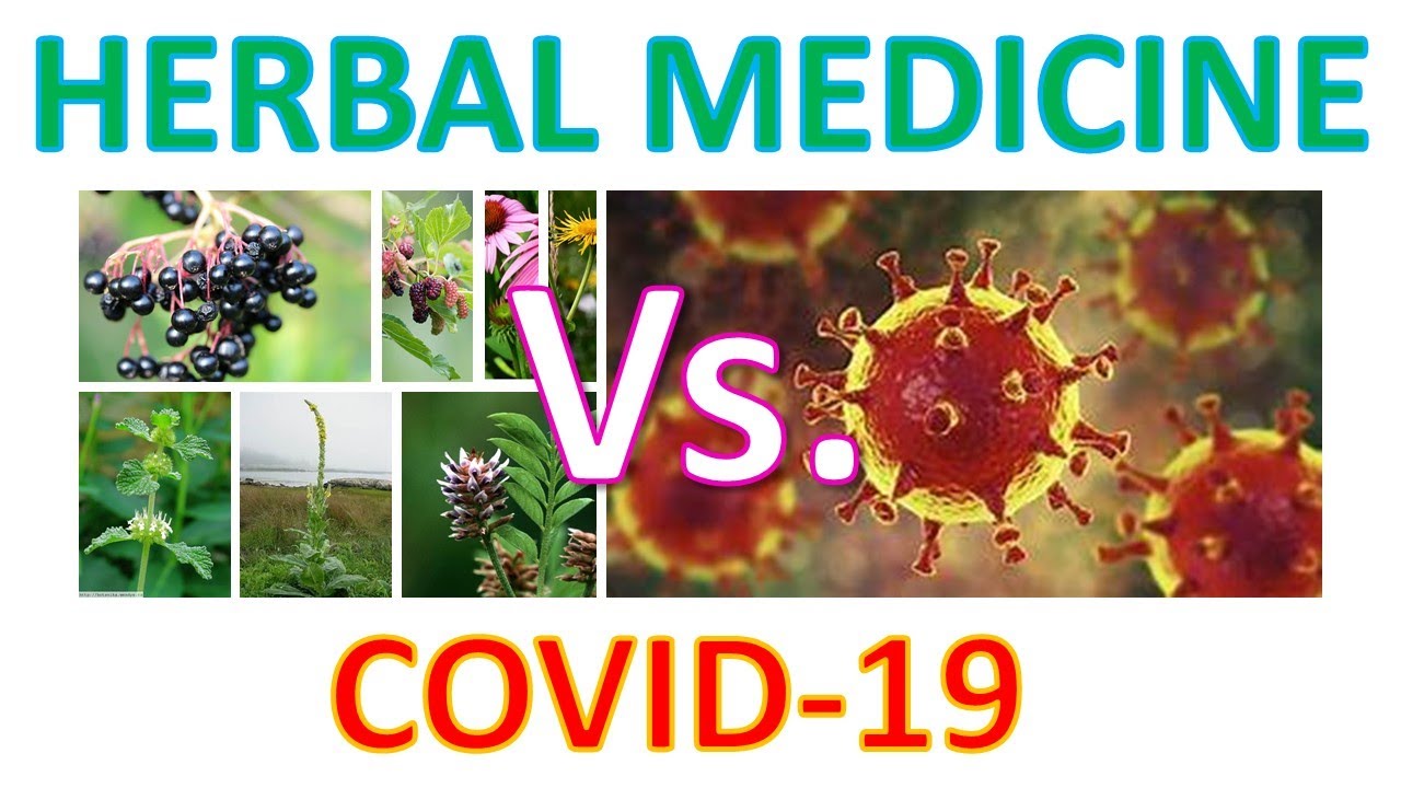 COVID-19: what can herbal medicine do?