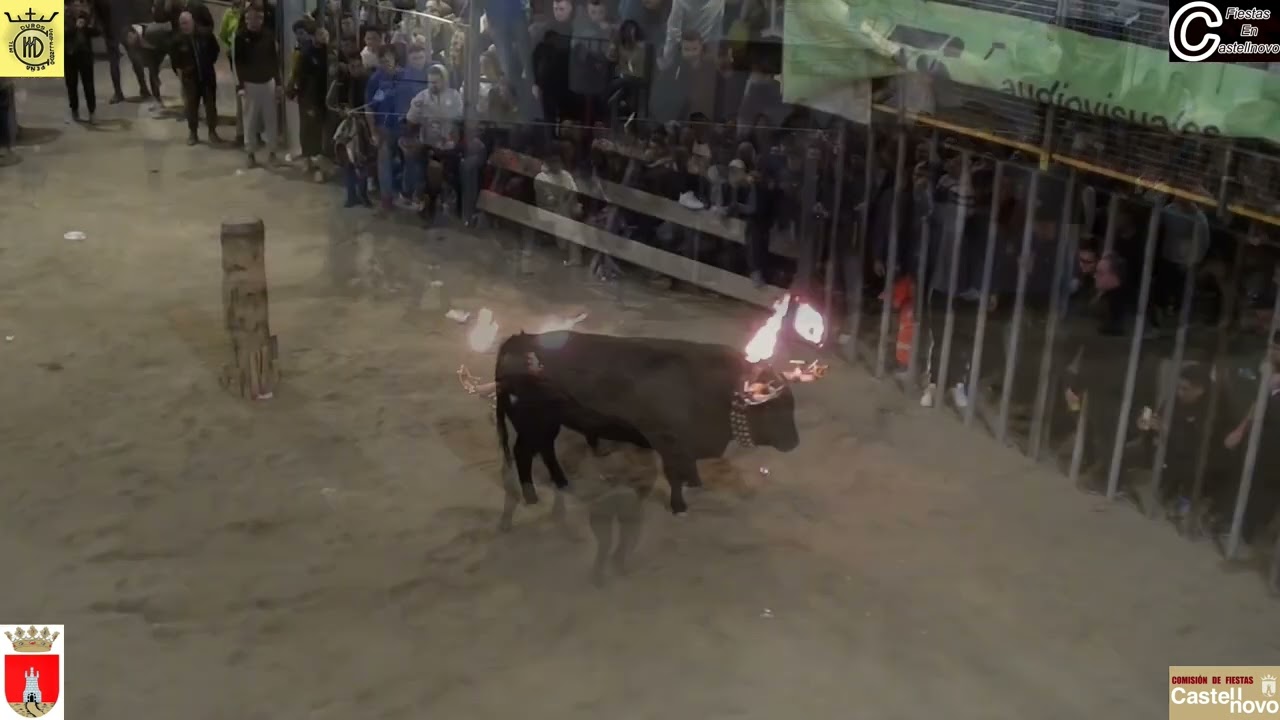 2025  05  1º DESENCAJONAO EMBOLAO  PEÑA MIL DUROS San Anton Castellnovo 11 01 2025