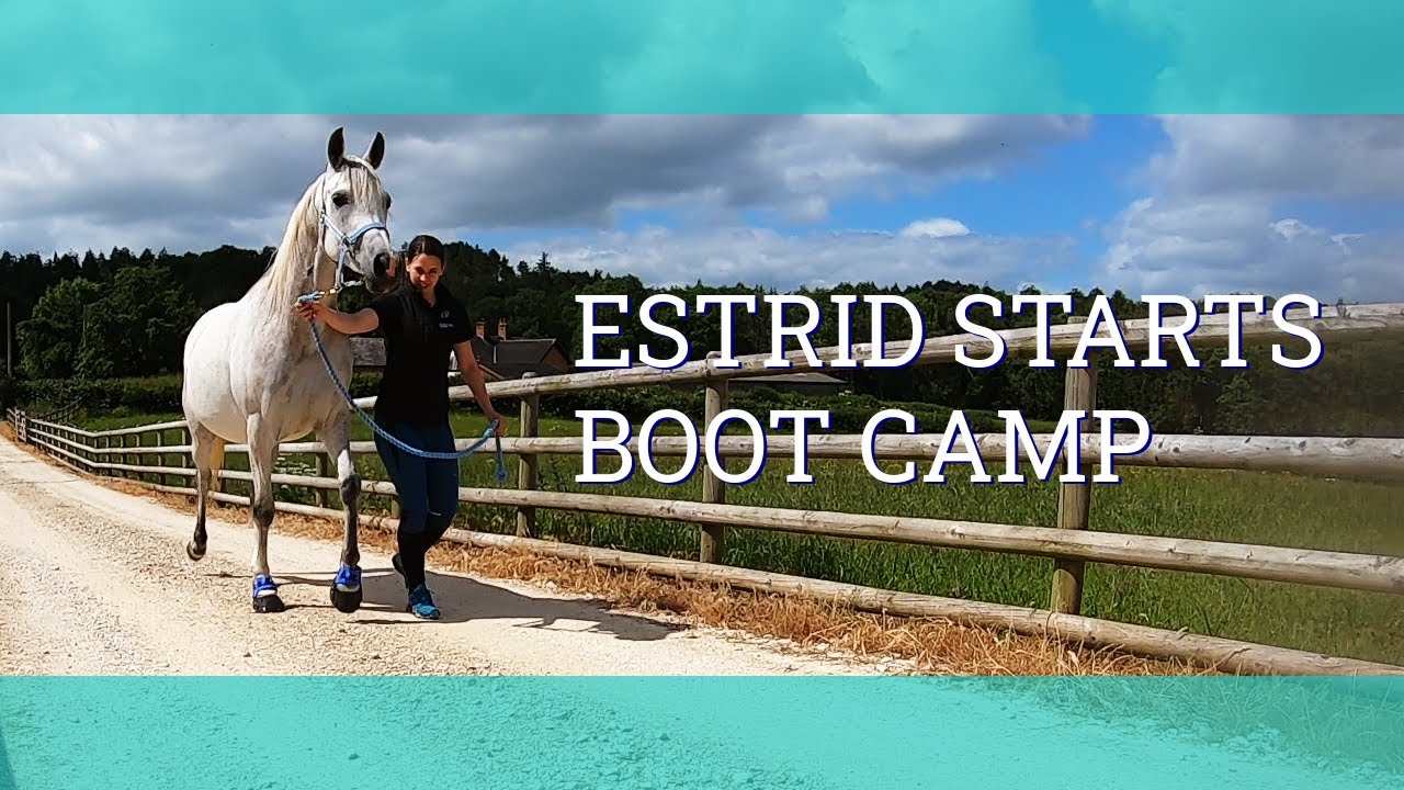 Keeping my horse barefoot? - The Hoof Boot Shop Visit - Vlog 135 - Beth Endurance