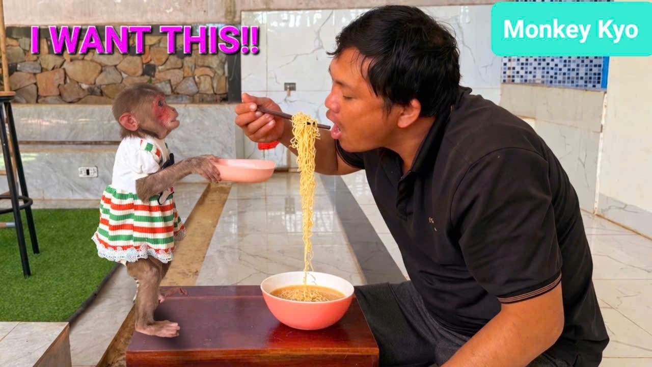Monkey Kyo Did THIS to Ask Dad for Food&hellip; 🤣