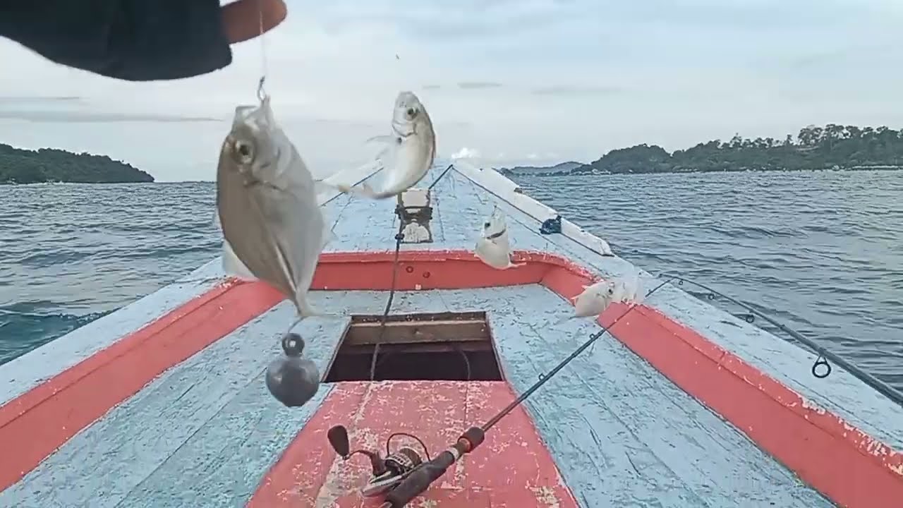VIRAL !!! TERNYATA CARA INI MUDAH UNTUK MENDAPATKAN STRIKE !!! MANCING NGOTREK DI LAUT SIANG HARI
