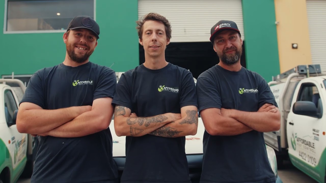 Affordable Pest Control - Commercial