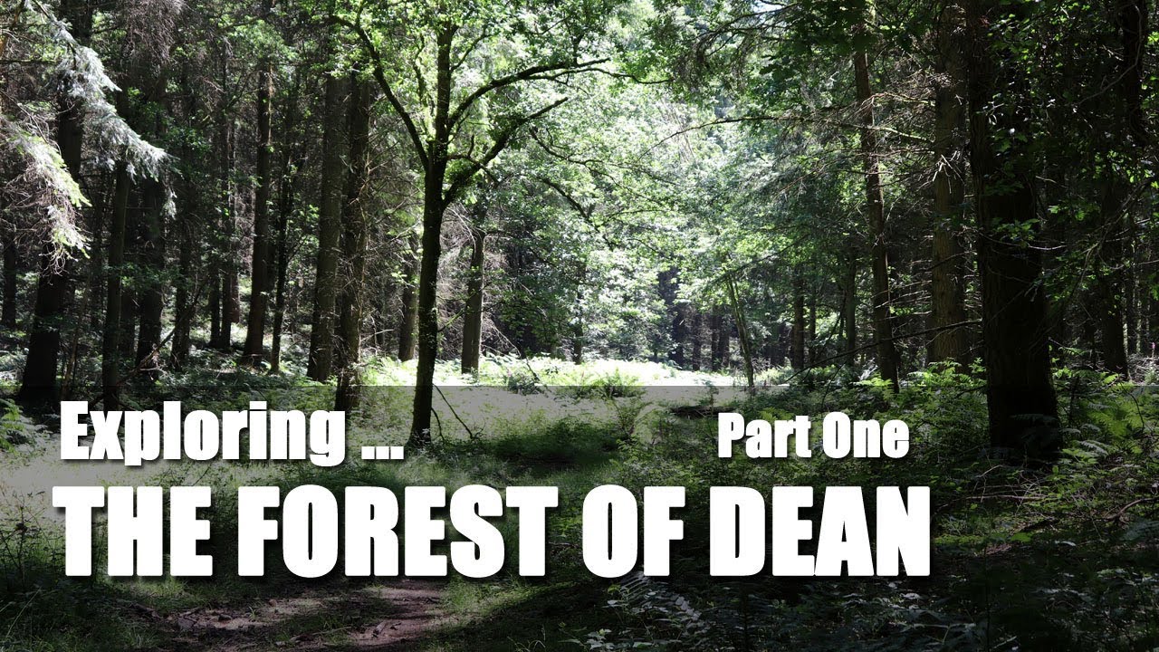 Walks in England: Exploring the Forest of Dean - Part One