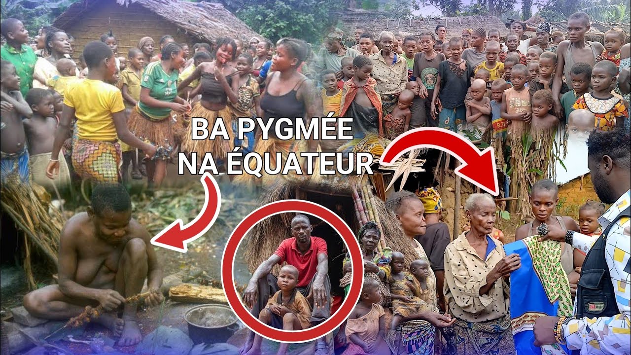 RETOUR AU VILLAGE: 😌😭PASI PE MAWA  BA PYGMÉE BAZUI BILAMBA NA MBONGO YOKA ESENGO 