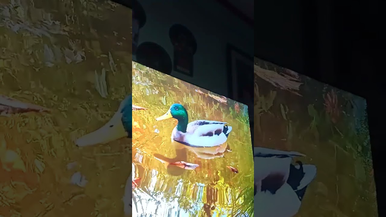 Aubrey Bread cover