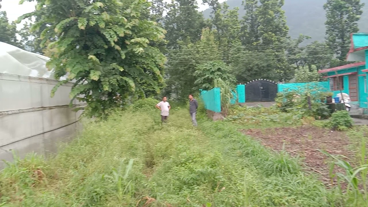 3.5 Bigha land for sale Bhud Vikasnagar Dehradun Uttarakhand