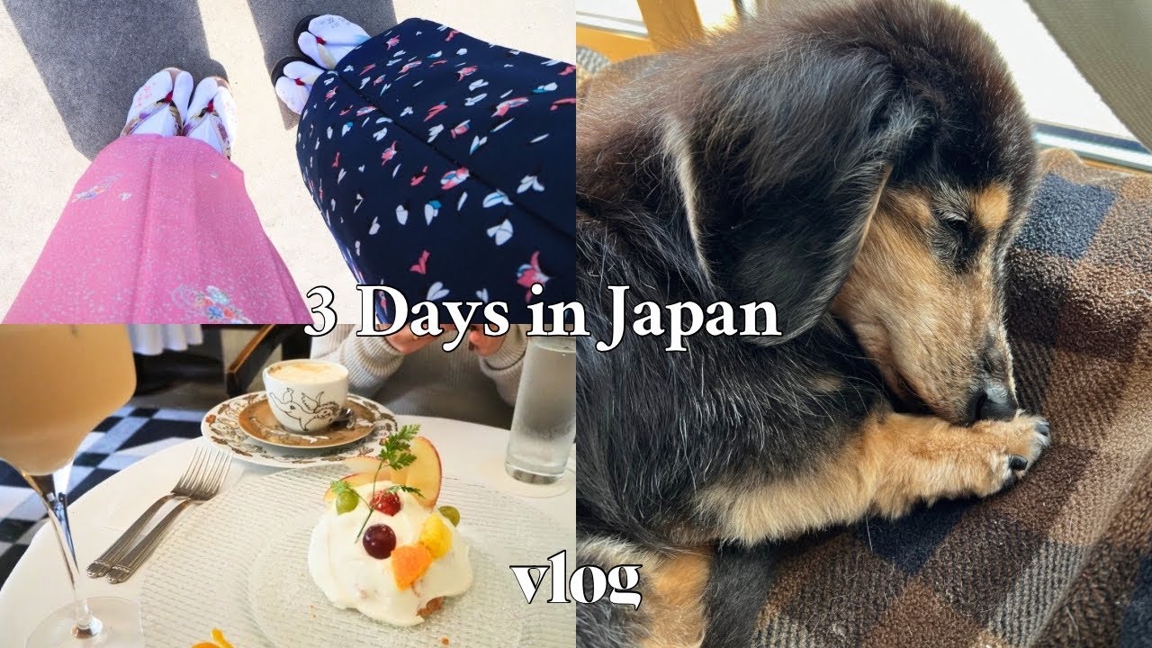 【vlog】ベトナムに帰るの現実…？🇻🇳｜一時帰国🇯🇵｜大切な人と過ごす3日間