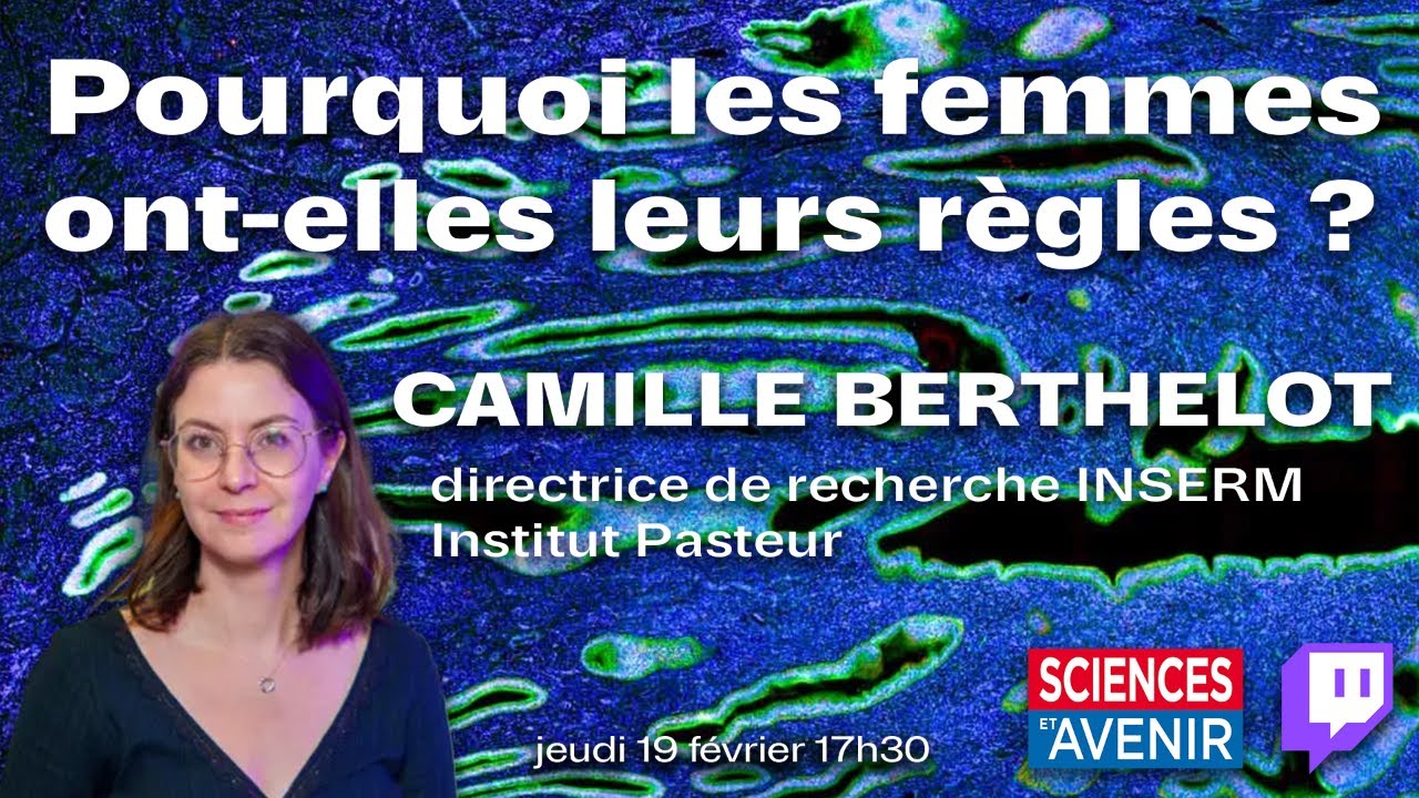 🩸 Pourquoi les femmes ont-elles leurs règles ?