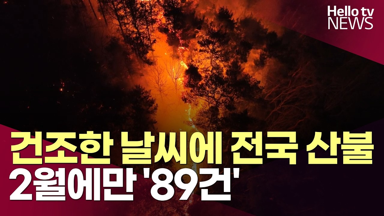 건조한 날씨에 전국 산불 잇따라…2월에만 '89건'ㅣ#헬로tv뉴스
