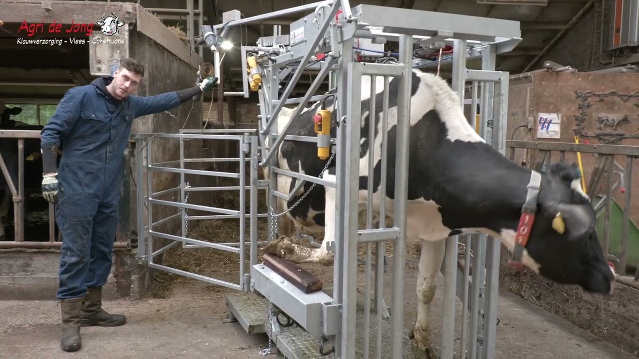 Klauwbekappen voor de melkveehouder in de box van Agri de Jong demovideo door Alex de Jong