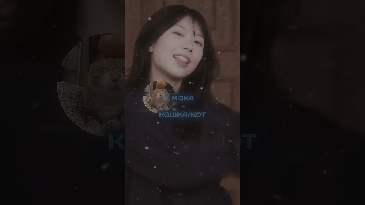 - перезалив🌚