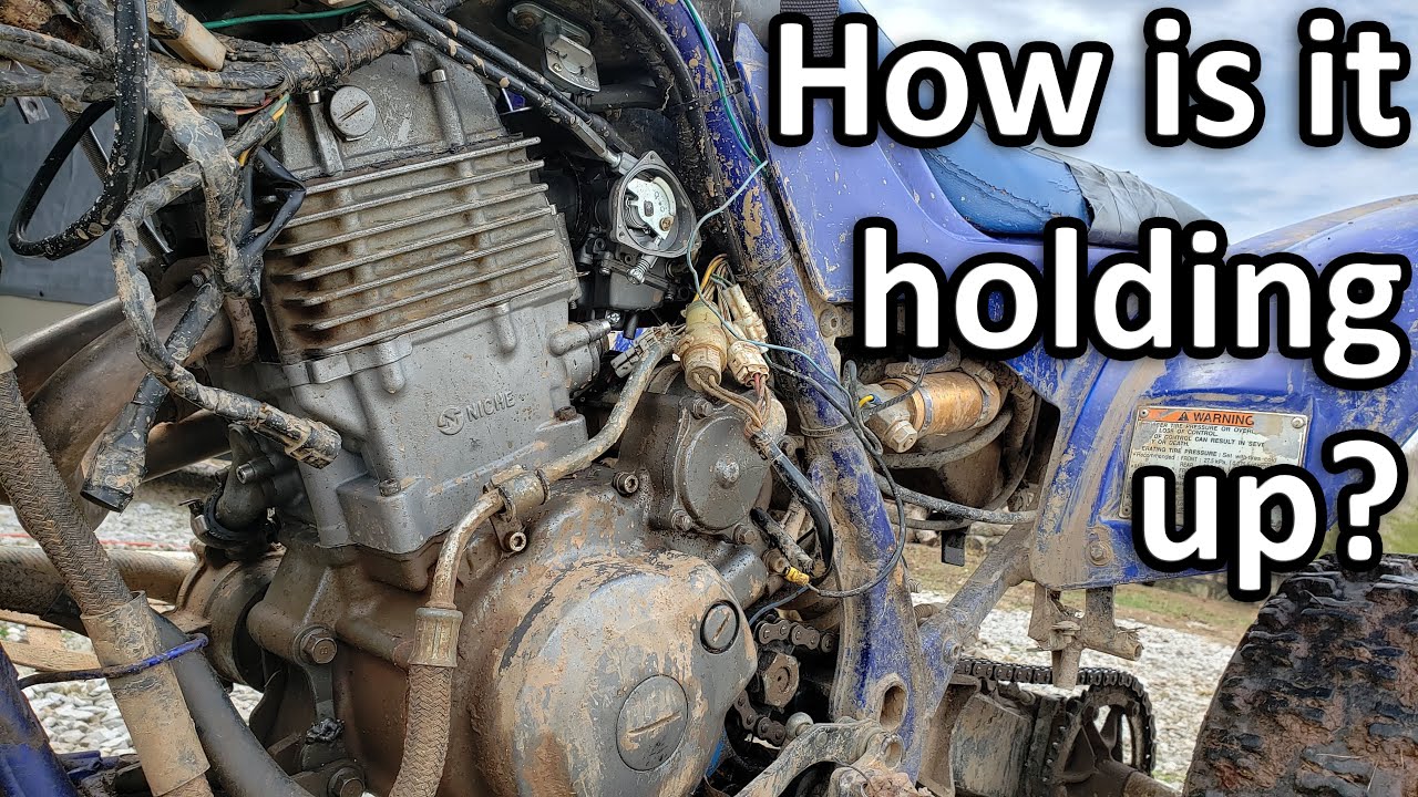 Update on Niche Kit \\ Raptor 660 Top End Rebuild