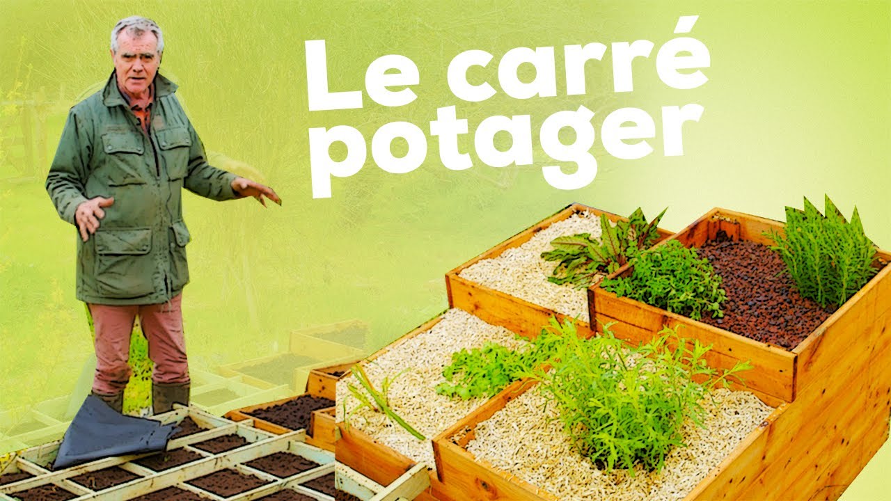 Cultiver en carrés potagers ! Comment faire étape par étape ? Avantages et inconvénients ?